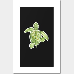 Watercolor turtle Posters and Art